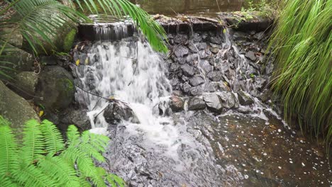 Small-tropical-waterfall,-creek-water-cascading-down-rock-face,-Peaceful-summers-day