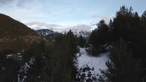 Smooth-reveling-drone-behind-trees-in-Andorra,-with-the-last-rays-of-sun,-with-the-sky-full-of-clouds