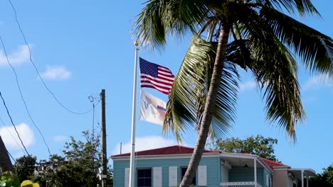 Virgin-Islands-United-States-flag-flying-in-wind-by-palm-tree