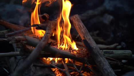 Nahaufnahme-Eines-Brennenden-Lagerfeuers-Im-Winter