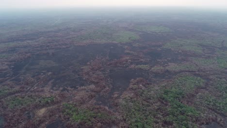 Luftaufnahme-Einer-Verbrannten-Schwarzen-Landschaft-In-Brasilien-Nach-Einem-Flächenbrand-Im-Ganzen-Land
