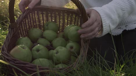 Hands-with-basket-of-apples-in-summer-countryside-medium-shot