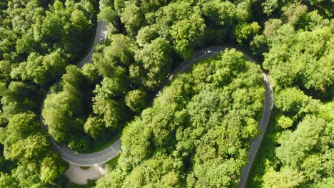 Timelapse-from-above:-Cars-a-driving-through-a-double-curve-in-a-summertime-forest,-fast-dynamic-video