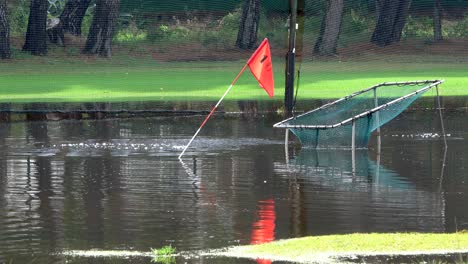 Golfball-Fällt-Ins-Wasser-Und-Springt-Dreimal,-überflutete-Driving-Range-Flagge,-Die-100-Meter-Mit-Einem-Korb-Markiert