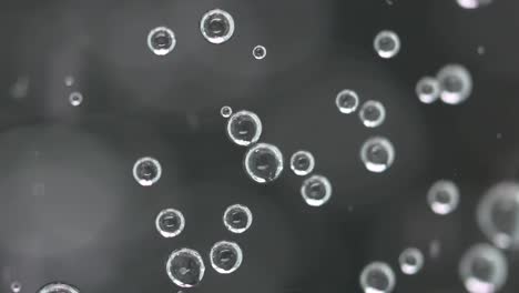 Macro-Shot-Of-Soda-Bubbles-Swirling-Inside-A-Glass