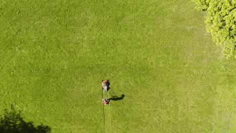 Man-mowing-the-lawn,-cutting-fresh-long-green-garden-grass,-aerial-top-down-view