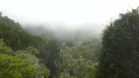 Fog-flooding-through-the-hilly-rainforest-valley-of-Costa-Rica