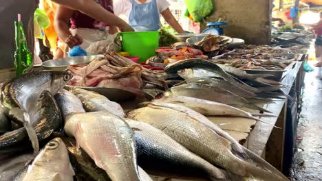 Frischer-Fisch-Zum-Verkauf-Auf-Dem-Tisch-Auf-Dem-Lokalen-Nassmarkt-Auf-Den-Philippinen---Markt-Und-Fischereiindustrie