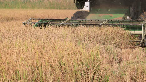 Combine-harvester-working-in-rice-field