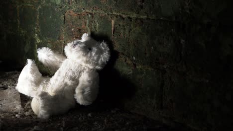 Child's-teddy-bear-discarded-in-old-building-basement-medium-zoom-out-shot