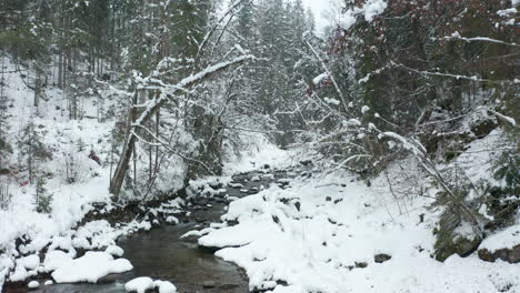Jib-über-Einen-Kleinen-Bach,-Der-Durch-Schneebedeckten-Wald-Fließt