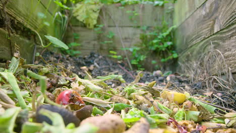 Adding-to-the-colourful-compost-heap