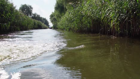 Traveling-over-the-muddy-waters-of-Danube-Delta--close-up