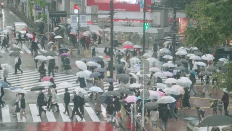 Fußgänger-Mit-Regenschirm-überqueren-Die-Shibuya-Kreuzung,-Während-Die-Ampel-In-Tokio,-Japan,-Auf-Grün-Wechselt