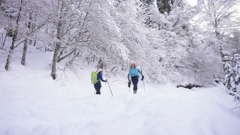 Couple-of-skiers-walking-with-poles-in-snow-enchanted-forest