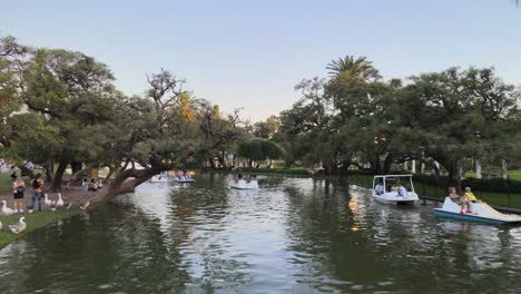Aerial-dolly-out-of-boats-sailing-in-Rosedal-gardens-pond-in-Palermo-neighborhood-at-sunset,-Buenos-Aires