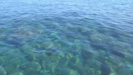 Exotische,-Klare,-Transparente-Meeresbodenwellen-In-Sonniger-Luftaufnahme