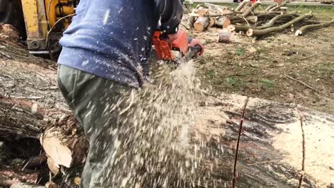 chainsaw-cutting-wood-in-slow-motion-and-sawdust