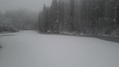 Foggy-Scenery-Of-A-Frozen-Lake-In-The-Center-Of-A-Vast-Forest-In-A-Gloomy-Winter-Day---moving-medium-shot