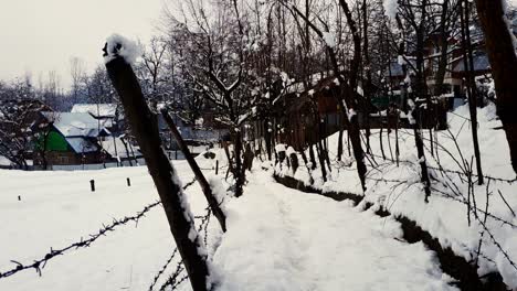 Un-Niño-En-El-Paisaje-Nevado-En-Cachemira,-Cachemira-Se-Ve-Hermosa-Durante-La-Nieve-Blanca-Y-Fresca
