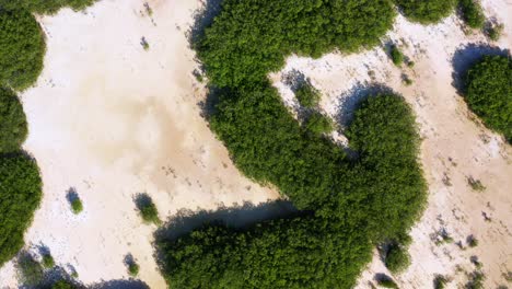 Luftaufnahme-Von-Oben-Nach-Unten-über-Die-Lagune-Von-Oviedo-Im-Nationalpark-Jaragua,-Pedernales,-Dominikanische-Republik