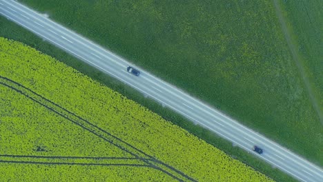 Top-down-shot-of-driving-cars-at-a-rural-road-along-a-yellow-blooming-rapeseed-field,-authentic-springtime-scenery