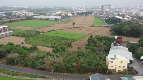 Aerial-drone-footage-flying-over-green-rice-paddy-field-at-agriculture-city-Yunlin-Taiwan