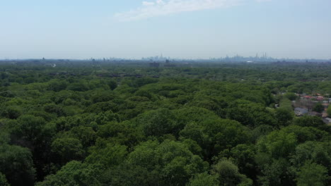 An-aerial-view-above-green-tree-tops-in-a-park-on-a-sunny-day
