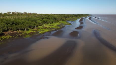 Luftaufnahme-Einer-Natürlichen-Landschaft-Mit-Dolly,-Die-Unberührte,-Schlammige-Mangrovenwälder-Bei-Ebbe-Im-Naturschutzgebiet-El-Destino-Tagsüber-In-Buenos-Aires-Einfängt