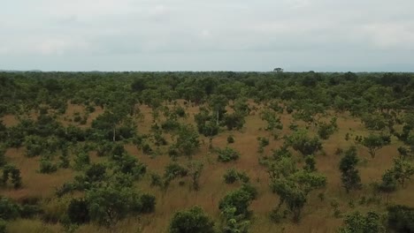 Luftaufnahme-Der-Afrikanischen-Savanne-Im-Mikumi-Nationalpark,-Tansania