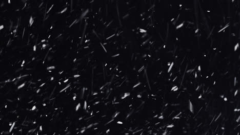 Snow-Blizzard-on-black