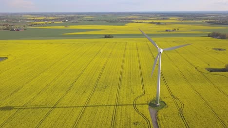 Große-Windkraftanlagen-Auf-Einem-Gelben-Feld