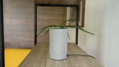 Smart-Home-Assistant-on-shelf-next-to-aloe-vera-ready-to-interact