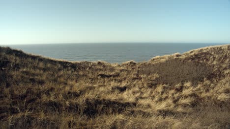 Dune-grass-moving-in-the-wind-on-Sylt-with-the-north-sea-in-the-background