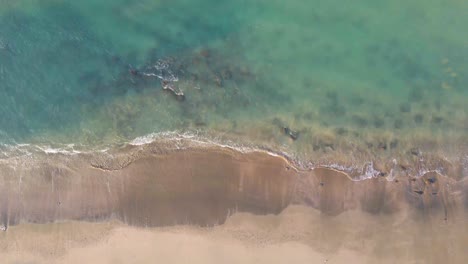 Top-down-aerial-view-of-turquoise-sea-waves-breaking-on-the-sandy-beach