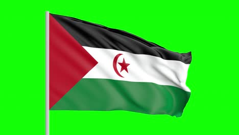 Nationalflagge-Der-Westsahara-Weht-Im-Wind-Auf-Grünem-Bildschirm-Mit-Alpha-Matte