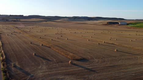 Straw-bales-at-sunset-seen-from-the-air,-drone-view