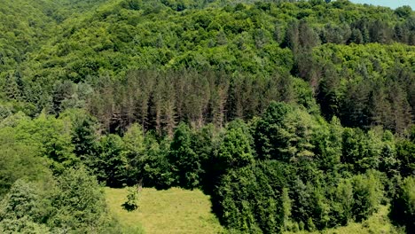 Luftaufnahme-Der-Dichten-Vegetation-Und-Der-Grünen-Wiese-Am-Gebirge
