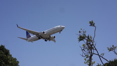 united-airlines-plane-landing-at-airport