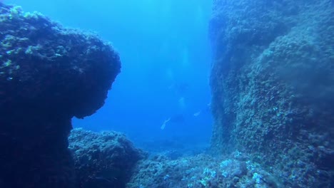 POV-Eines-Tauchers,-Der-Die-Korallenriffe-Unter-Wasser-Von-Fornells-Genießt