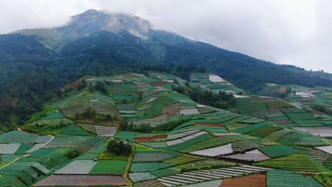 Patchwork-quilt-of-agricultural-fields-on-mountain-slope-aerial-view,-Indonesia