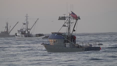 Los-Barcos-De-Pesca-Comercial-Están-En-Pleno-Apogeo-En-La-Bahía-De-Monterey-Debido-A-La-Abundancia-De-Calamares-Y-Salmones-Salvajes
