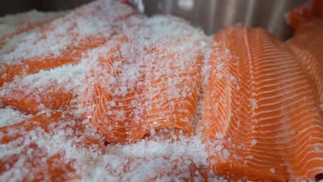 Salt-crystals-falling-gently-down-and-covering-fresh-raw-salmon-fish-fillets---Slow-motion-closeup-of-salmon-salting