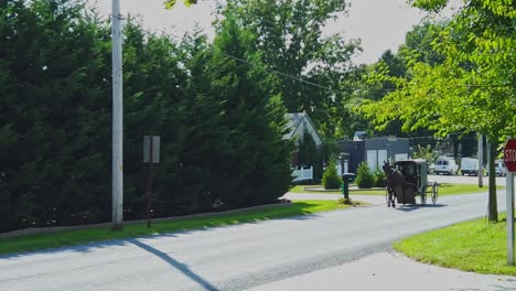 Un-Caballo-Amish-Y-Un-Buggy-Acercándose-Al-Trote-En-Un-Camino-Rural-En-Un-Día-Soleado-En-Cámara-Lenta