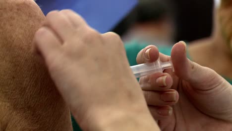 Injektion-Der-Ersten-Dosen-Des-Astra-Zeneca-Impfstoffs-In-Den-Arm-Eines-Patienten-–-Isoliert