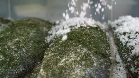 Steinsalzkristalle,-Die-Auf-Lachsfilet-Hüpfen-–-Marinierter-Lachs-Salzen,-Nahaufnahme-In-Zeitlupe