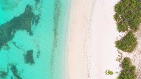 Aerial-vertical-format-of-Cenital-Dominican-beach-with-incredible-turquoise-sea