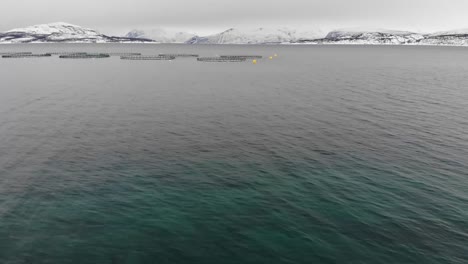 Norwegian-Fjord-In-Norway---Salmon-Fish-Farm-With-Cage-System---aerial-shot