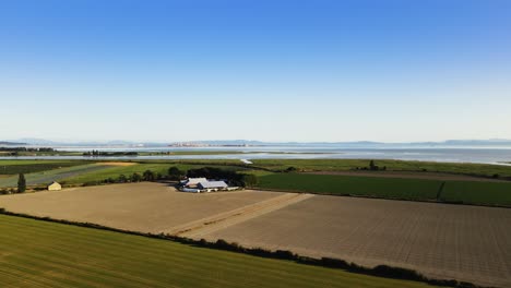 British-Columbia,-Canada-Delta-Westham-Island-Nature-Trees-Winery-Farm-Blue-Sky-Aerial-Drone-Footage