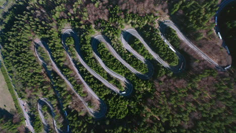 Aerial-View-Of-The-Vehicles-Swerving-At-The-Bratocea-Pass-Amidst-The-Lush-Forest-In-Romania